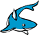 the csshark answers questions
